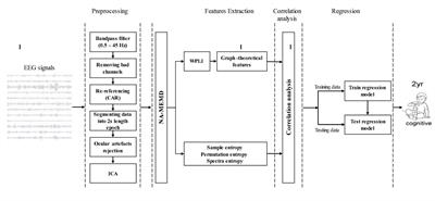 Cognitive Outcome Prediction in Infants With Neonatal Hypoxic-Ischemic Encephalopathy Based on Functional Connectivity and Complexity of the Electroencephalography Signal